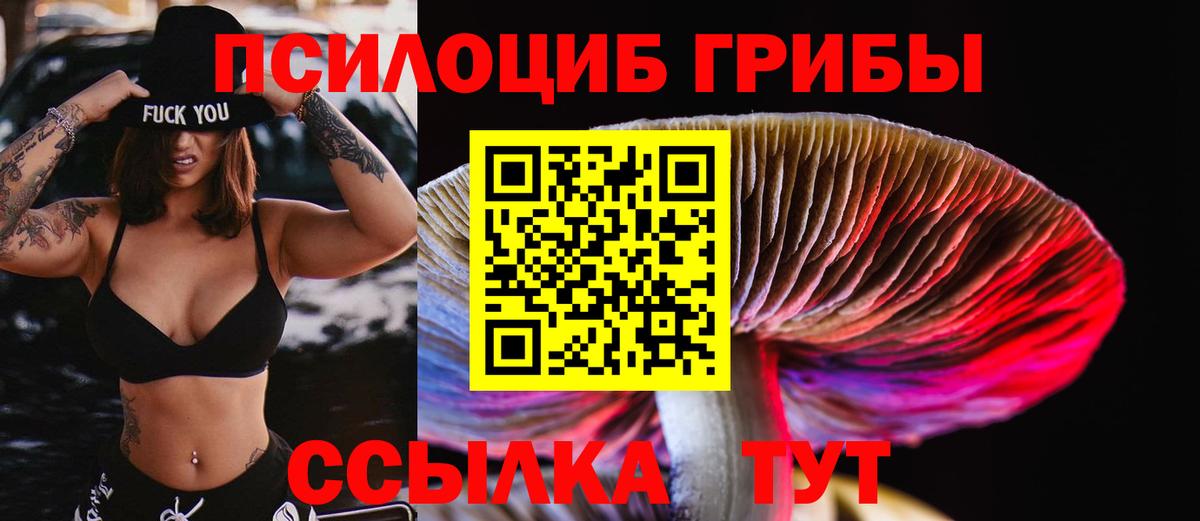 Псилоцибиновые грибы Cubensis Светлоград